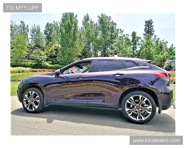 欧博二代D豪华版设计创新，彰显奢华品质与卓越性能结合